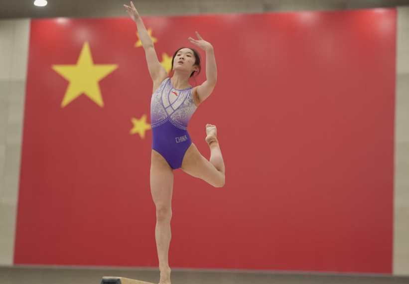 华体会电子竞技赛事背后的故事与挑战